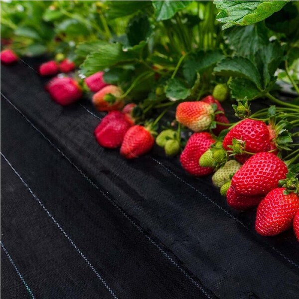 Lambu Weed Mat 1.83mx50m Plant Control Weed Mat Pebbles Gravel Woven Fabric