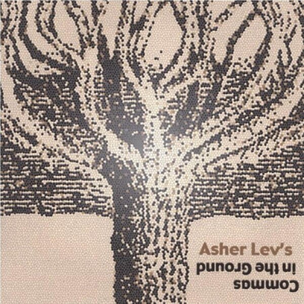 Commas In The Ground -Asher Lev CD