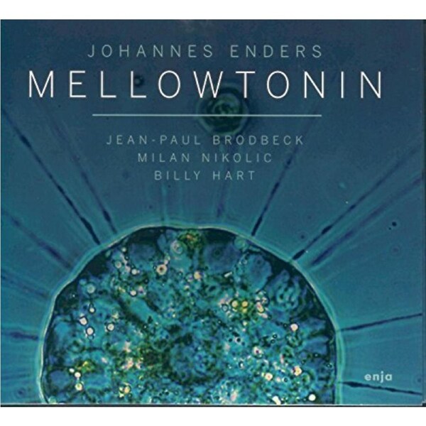 Mellowtonin -Enders Johannes CD