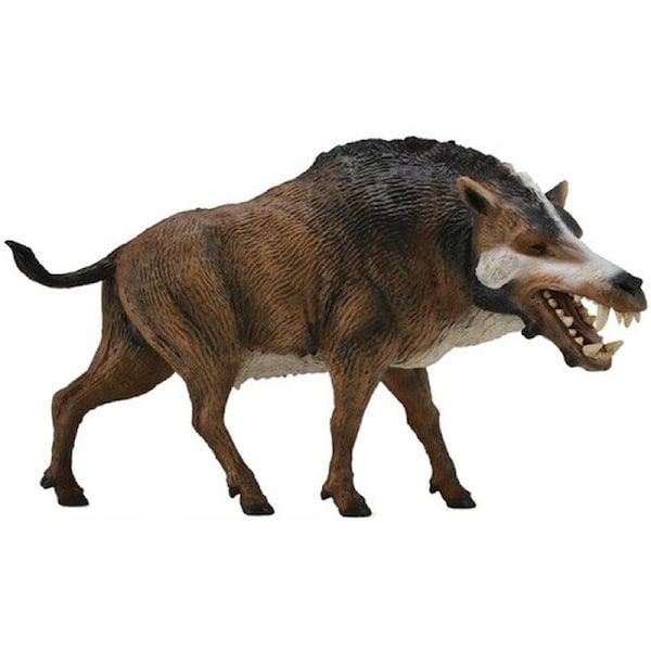 Collecta Daeodon