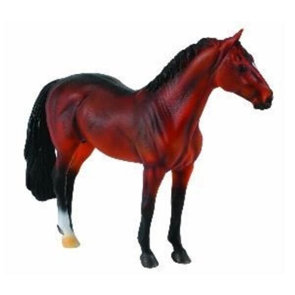 Collecta Hanoverian Stallion Bay
