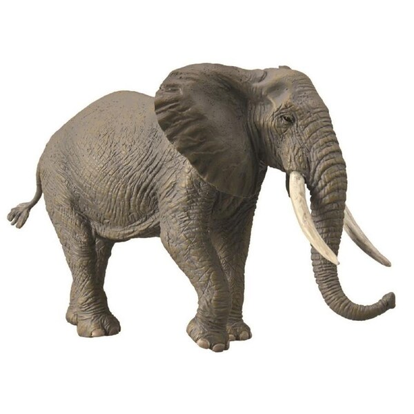 Collecta - African Elephant 88966