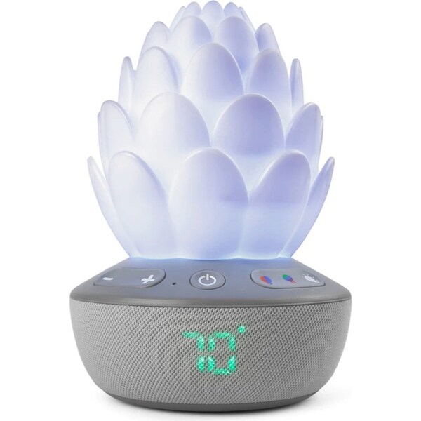 Skip Hop Terra Cry Activated Succulent Glow Soother - Grey White