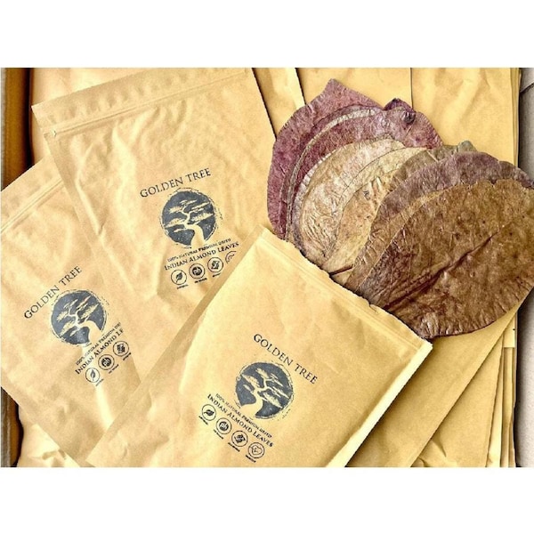 Golden Tree Premium Indian Almond Leaves 50g
