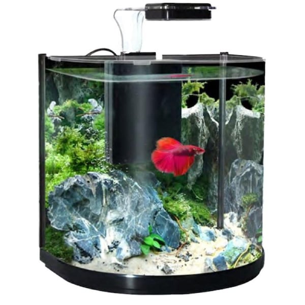 Aqua One BT 10 Betta Glass Aquarium Set 10L Black 56295BK