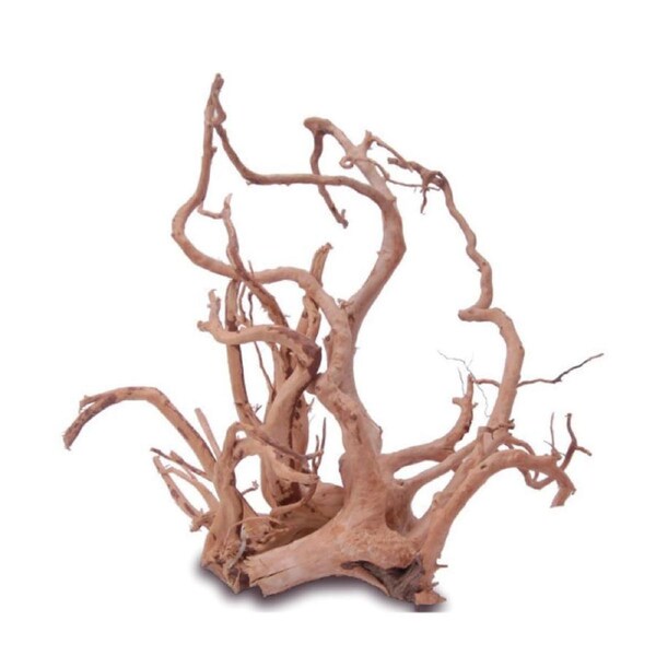 Dymax Tweety Wood Extra Large