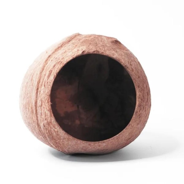 Coconut Whole House Coconut002