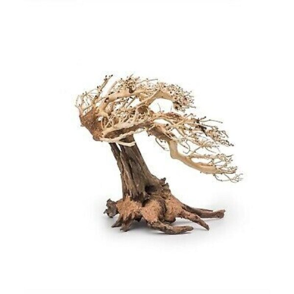Bonsai Driftwood 15x12cm Standard