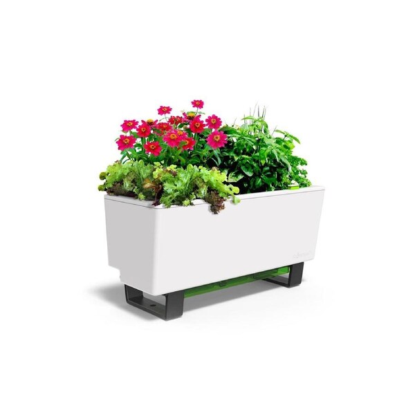Glowpear Mini Bench Planter - Self Watering Raised Garden Planter Box