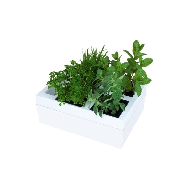 Greenlife Self-watering Bench Top Herb Growing Planter with 4 Pots