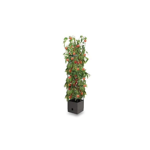 Greenlife Tomato Growing Tower 3 Tier with Self Watering Pot - Slate Grey