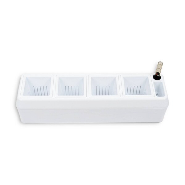 Greenlife Self-watering Windowsill Herb Planter with Water Level Indicator