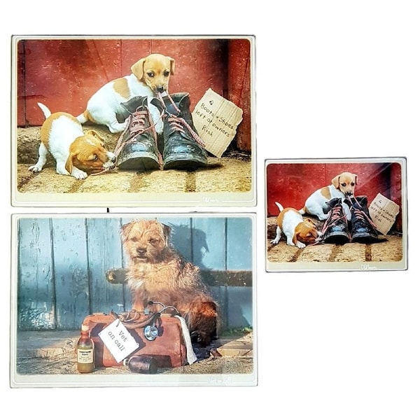 Kitchy & Co - Glass Trivet Placemat Set - Farmyard Series