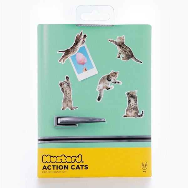 12pc Mustard Funny Cute Action Cat/Kitten/Pet Animal Home Fridge Magnets 5cm Set