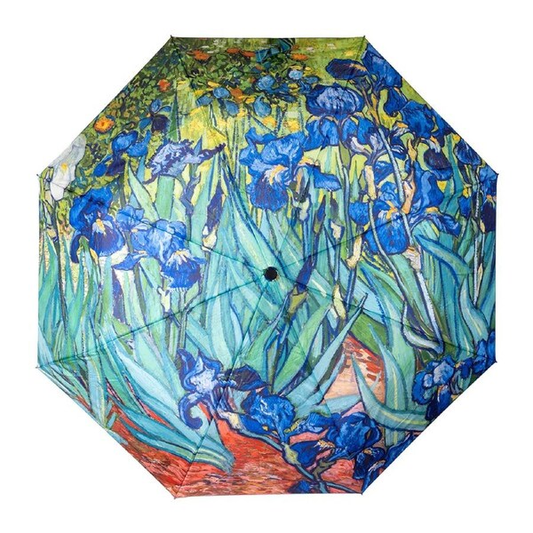 Clifton Women Folding 100cm Auto Open Wind Resistant Umbrella Protector Iris