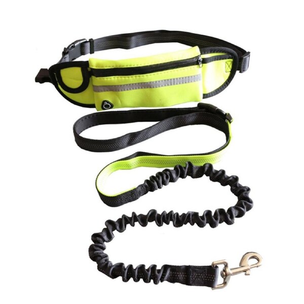 Hands Free Dog Leash for Running Walking Outdoor Training Belt