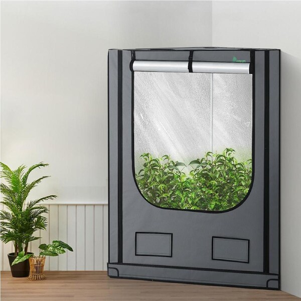 142X100X180CM Green Fingers Grow Tent Kits Hydroponics Kit Indoor Grow System