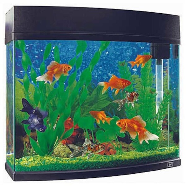 VitaPet Marine Master EziStart Panorama Fish Tank 20L - VP49820L