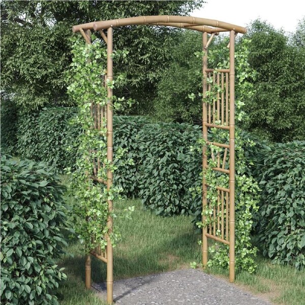 Rose Arch Bamboo 118x40x187 cm vidaXL