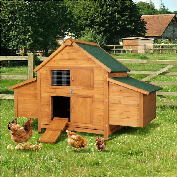 i.Pet Chicken Coop Rabbit Hutch 150cm x 68cm x 96cm Large House Run Cage Wooden Outdoor Pet Enclosure