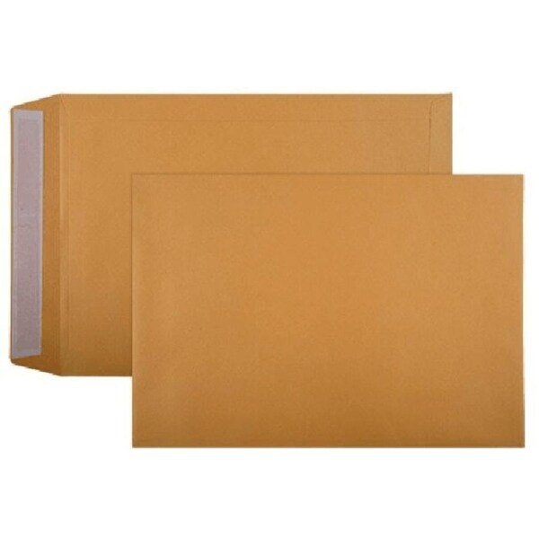 Cumberland C4 Envelopes Pocket Strip Seal 100GSM 229x324mm Gold Box 250