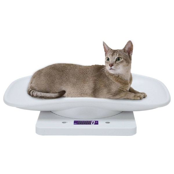 Small Pet Cat Puppy Digital Electronic Weight Tracker Scale - 10kg