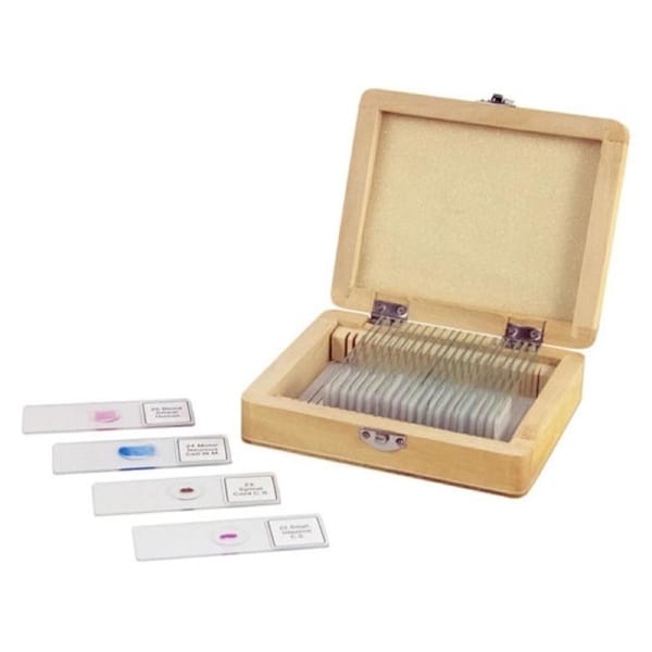 Celestron 25 Piece Prepared Microscope Slide Kit