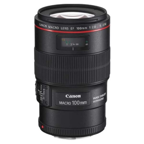 Canon EF 100mm f/2.8L Macro IS USM Lens