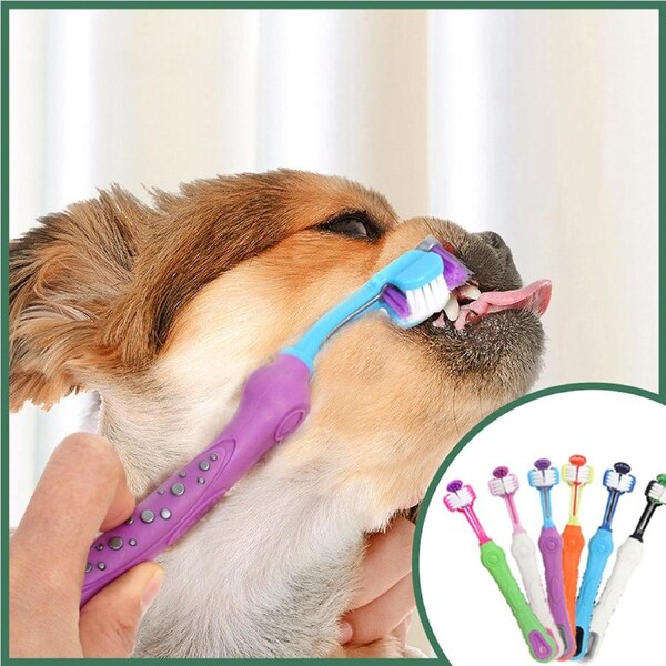 5 Pack Three Sided Pet Toothbrush Three-Head Multi-Angle Toothbrush Clean Tool