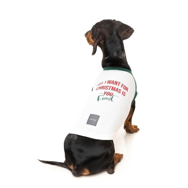 All I Want for Christmas is Food Size 5 (45-46.4cm) Christmas Dog T-Shirt by FuzzYard