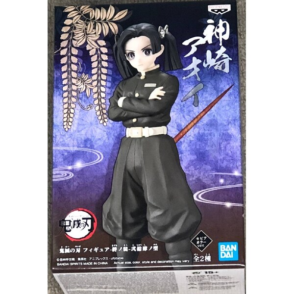 Demon Slayer: Kimetsu No Yaiba Vol.24 Aoi Kanzaki