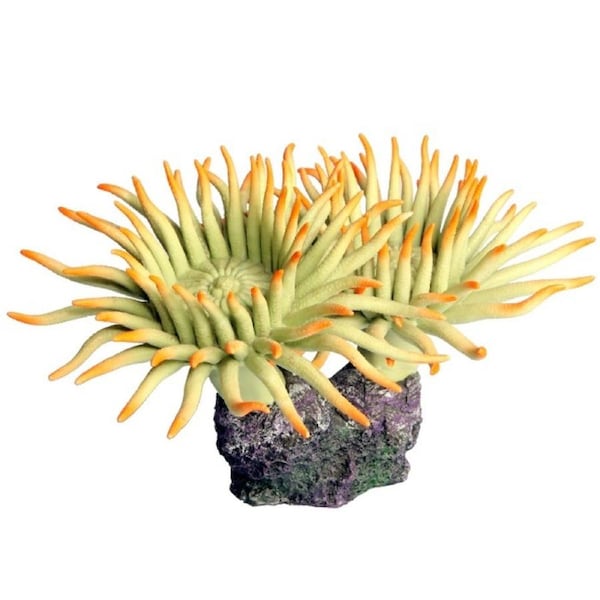 Copi Coral Twin Amemone 23.5x17.5x15.5cm Aquarium Fish Ornament by Aqua One
