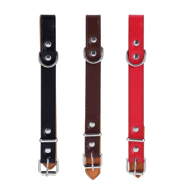 3x Paws & Claws Premium Original Dog/Pet 36-45x2cm Neck Collar Padded M Assorted