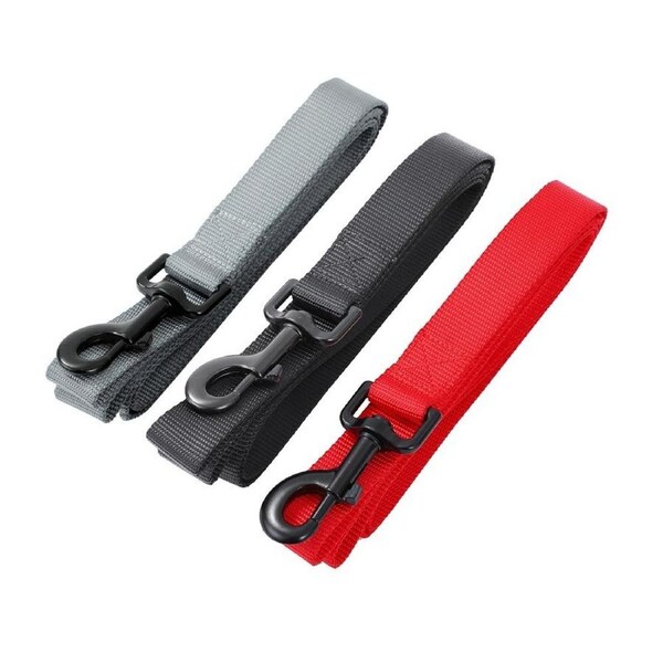 3x Paws & Claws Essentials Dog Lead 150cm Leash w/ Cafe Padded Handle Assorted