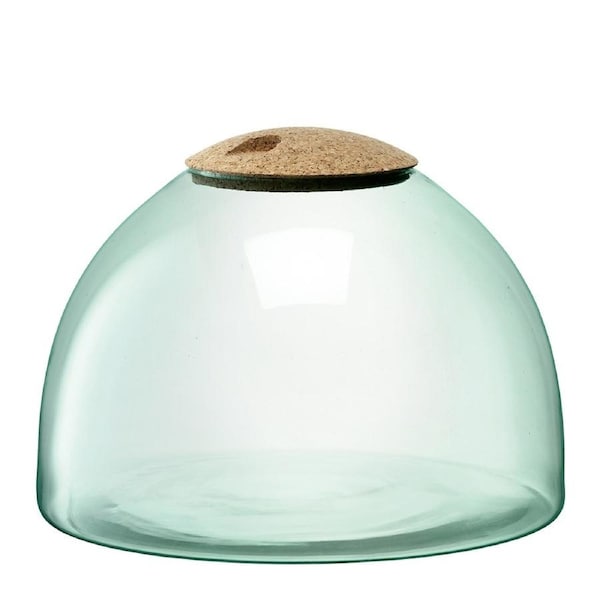 LSA International 22cm Canopy Enclosed Garden Indoor Terrarium Recycled/Handmade