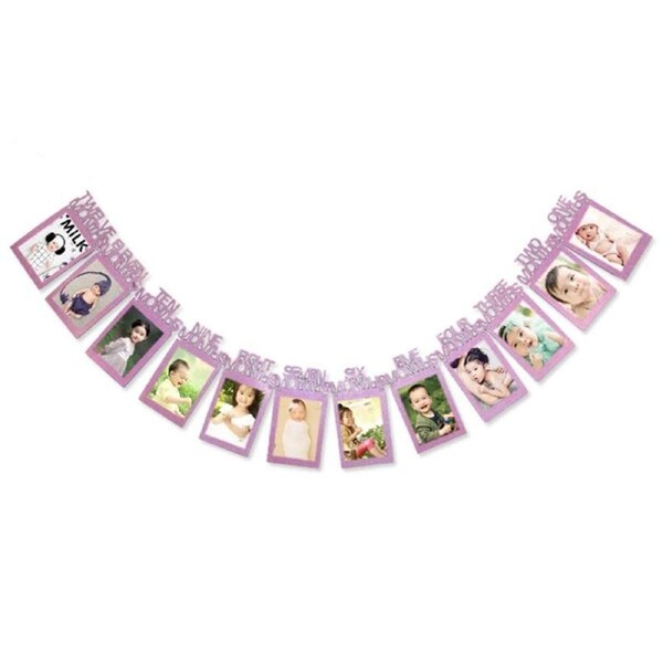 Personalized One Year Photo Banner Monthly Photo Birthday Banner Pink