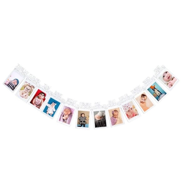 Personalized One Year Photo Banner Monthly Photo Birthday Banner Silver