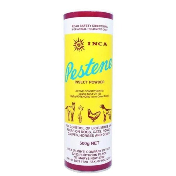 Inca Pestene Powder 500g