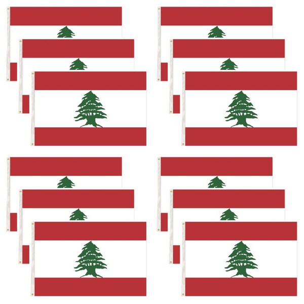 12x Lebanon Lebanese Country Flag Heavy Duty Outdoor - 150cm x 90cm Bulk