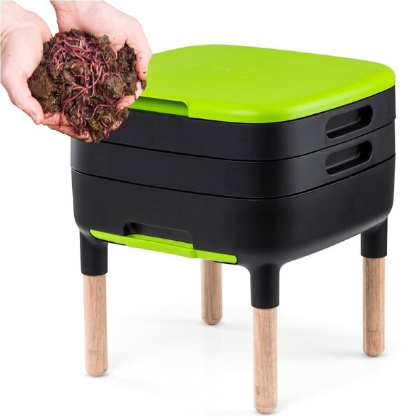 Maze Maze Worm Farm (Wooden Legs and Worms)