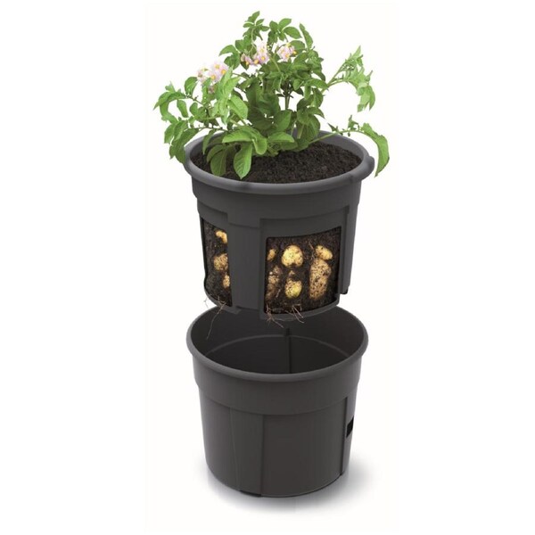 POTATO GROWER PLANTER 300