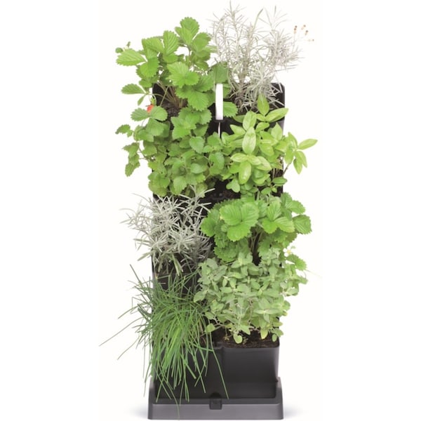 VERTICAL GARDEN MINI CASCADE