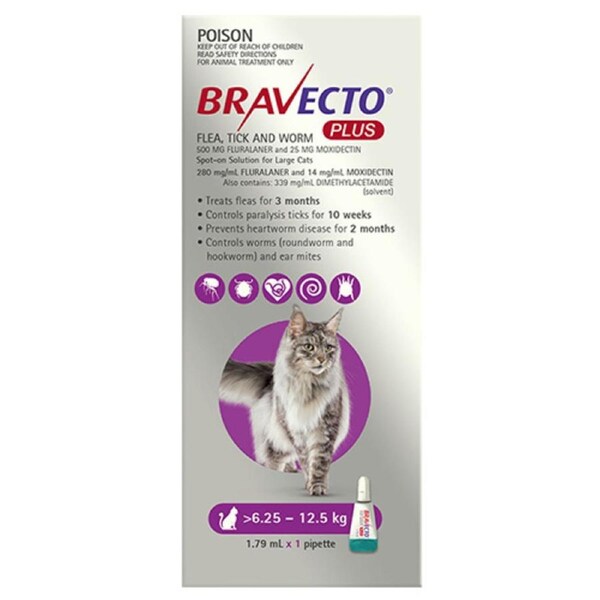 Bravecto Plus For Cats 6.25-12.5 Kg (Purple) 2 Pipettes