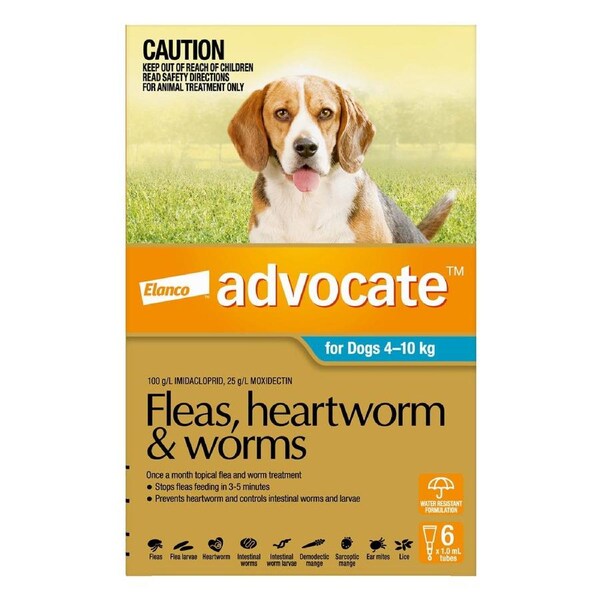 Advocate for Dogs For Medium Dogs 4 To 10Kg (Aqua) 6 Pipettes