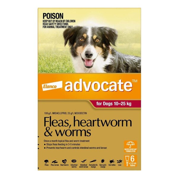 Advocate for Dogs For Large Dogs 10 To 25Kg (Red) 6 Pipettes