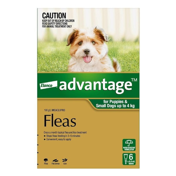 Advantage For Small Dogs Up To 4Kg (Green) 6 Pack