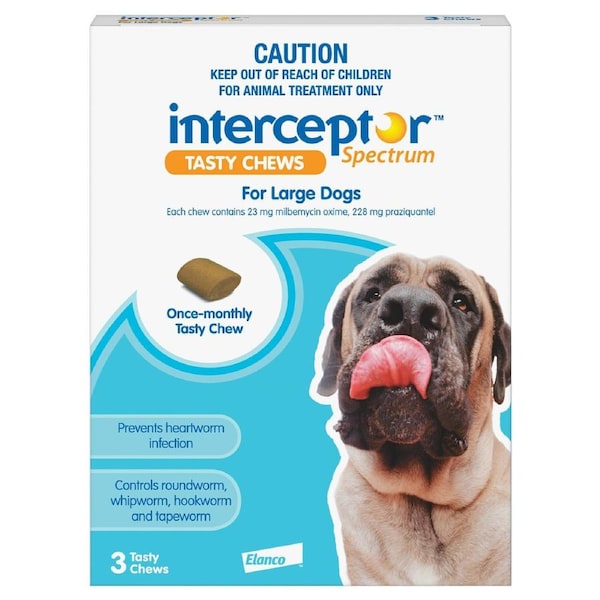 Interceptor Spectrum Tasty Chews For Large Dogs 22 To 45Kg (Blue) 6 Chews