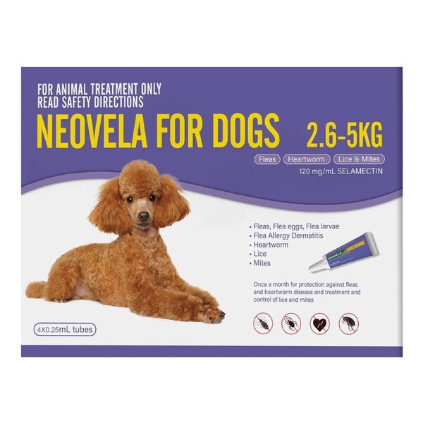 Neovela for Very Small Dogs 2.6 to 5 Kg (PURPLE) 4 Pack