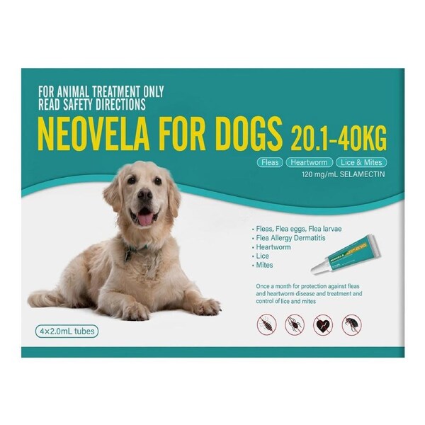 Neovela for Large Dogs 20.1 to 40 Kg (TEAL) 4 Pack