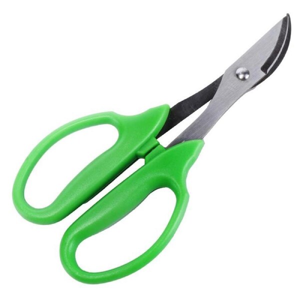 Pruning Scissors Curved Blade Stainless Steel 9cm x 17cm Green